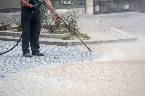 Best Roof Washing  in Robinson, IL